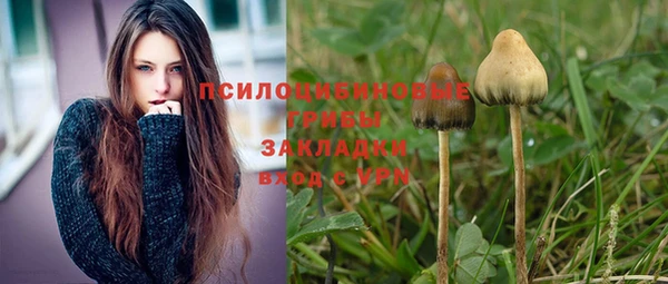 бутират Няндома