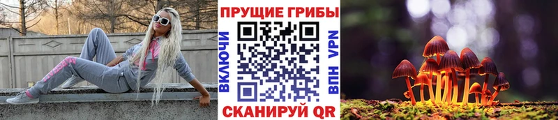 Галлюциногенные грибы Psilocybine cubensis  Холмск 