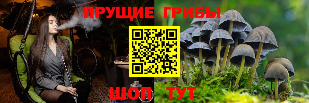 Галлюциногенные грибы Cubensis Холмск
